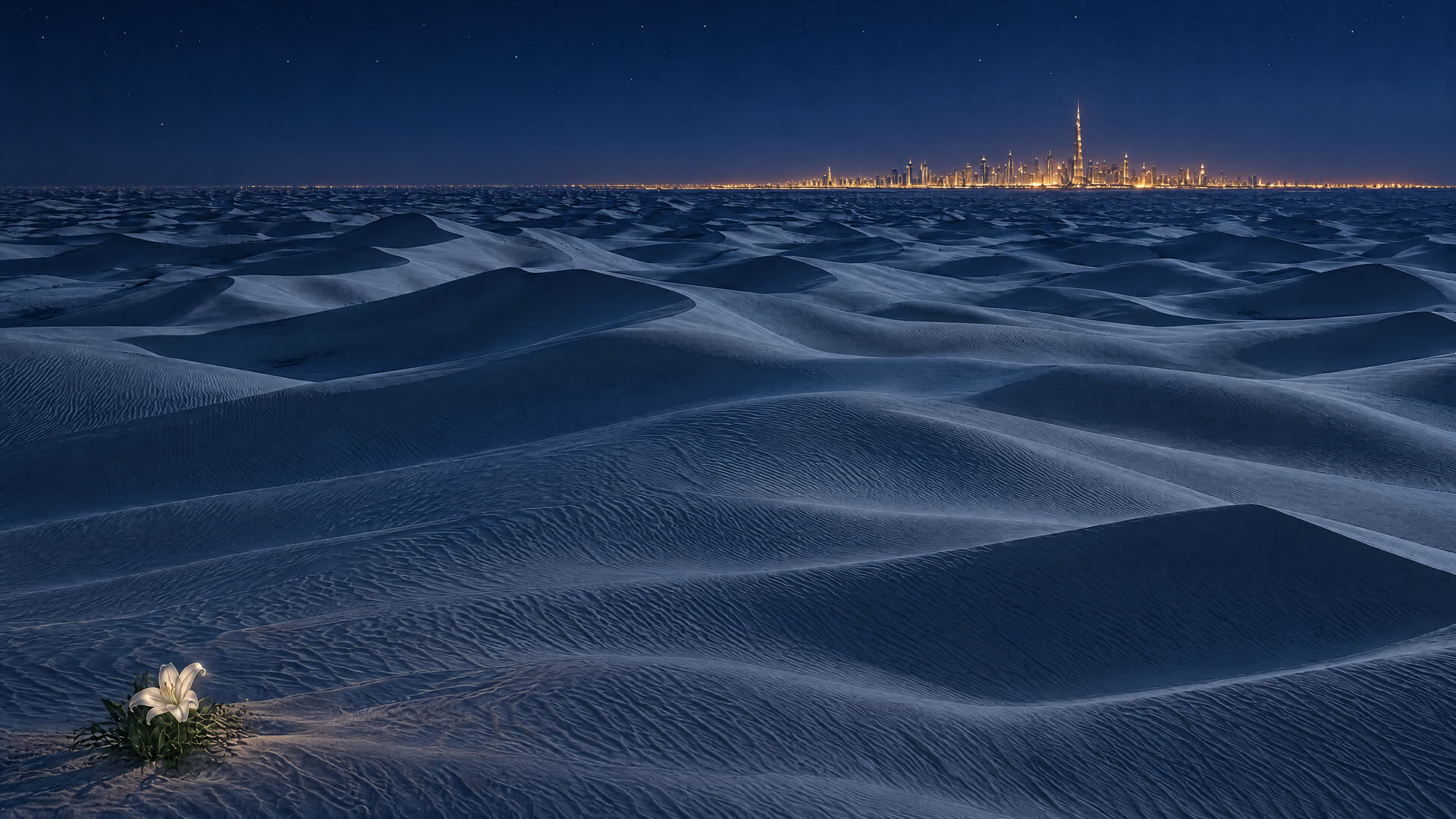 The desert at night seen from above: bare dunes in the moonlight, a lone white lily in the foreground, the lights of Dubai on the horizon.